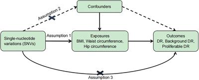 The causal effect of obesity on diabetic retinopathy: A two-sample Mendelian randomization study